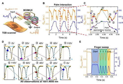 巧妙結(jié)合集成光子芯片和摩擦電技術(shù),新加坡國立大學(xué)團隊研發(fā)高速通信基礎(chǔ)設(shè)施的生物識別保護技術(shù)