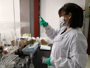 創新的基石 二十六 小分子,大健康