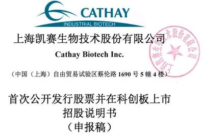 凱賽生物IPO隱憂 安全生產風險與違規行為頻發