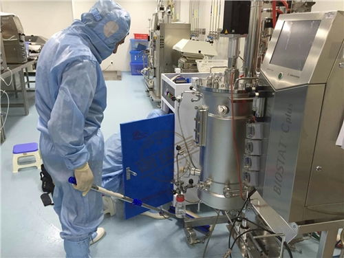 蒸汽能效與生物基材料創(chuàng)新 生物制藥廠在川貝枇杷膏生產(chǎn)中的協(xié)同研發(fā)路徑
