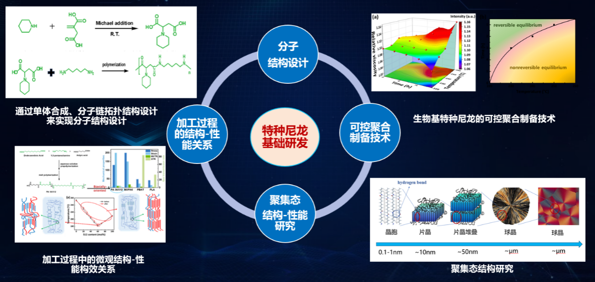 打破國際壟斷，書寫國產新材料新篇章 榕江實驗室生物基尼龍創新團隊榮獲省賽團體組三等獎